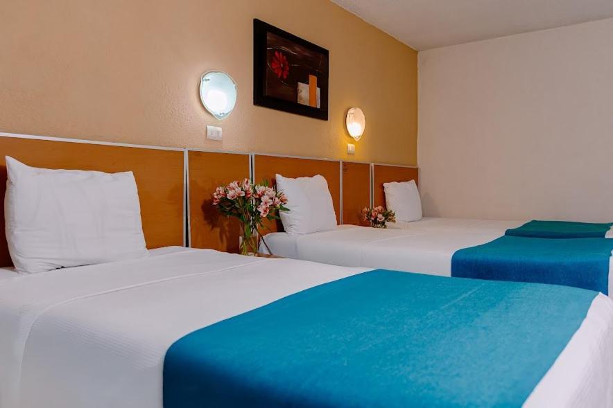 Kasa Hotel & Suites Irapuato Exteriér fotografie