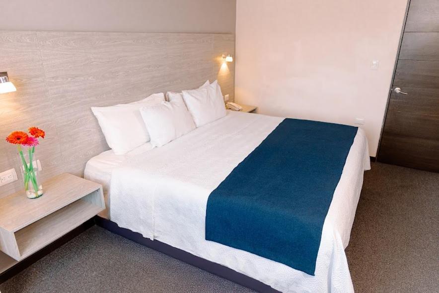 Kasa Hotel & Suites Irapuato Exteriér fotografie